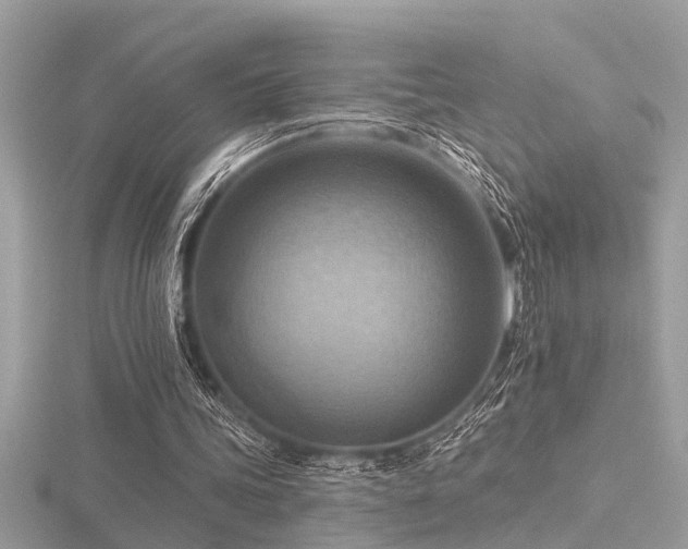 X0000116510339200912091453