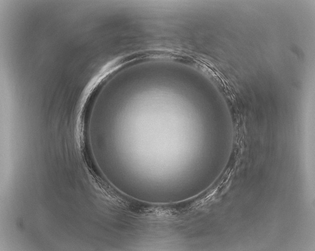 X0000116510343200912091453