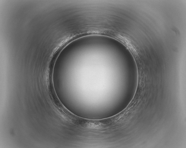 X0000116510346200912091453
