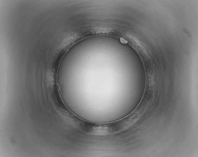 X0000116510362200912091453
