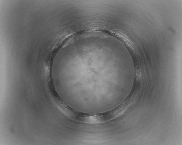 X0000116510365200912091453