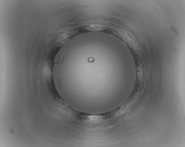 X0000116510371200912091454