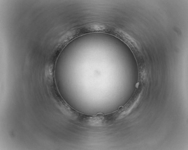 X0000116510373200912091454