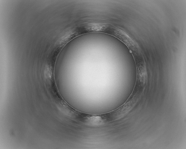 X0000116510374200912091454