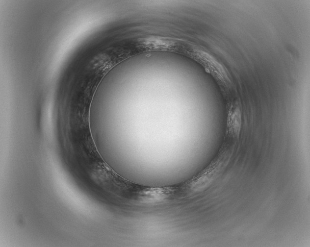 X0000116510381200912091454