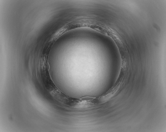 X0000116510382200912091454