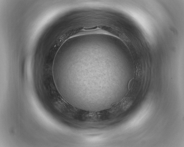 X0000116510383200912091454