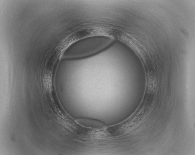 X0000116510386200912091453