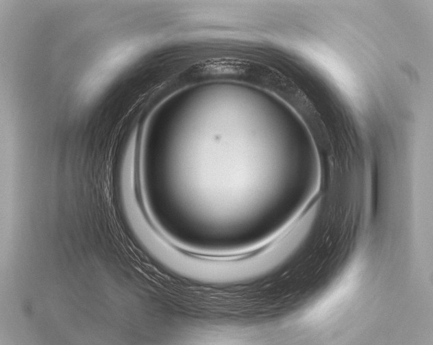 X0000116510387200912091453