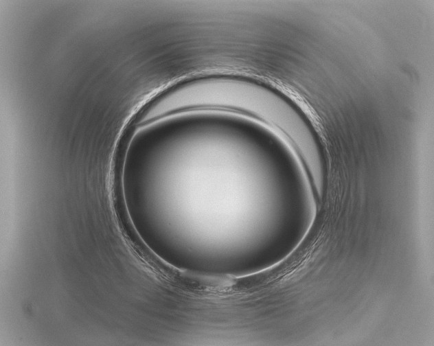 X0000116510391200912091453