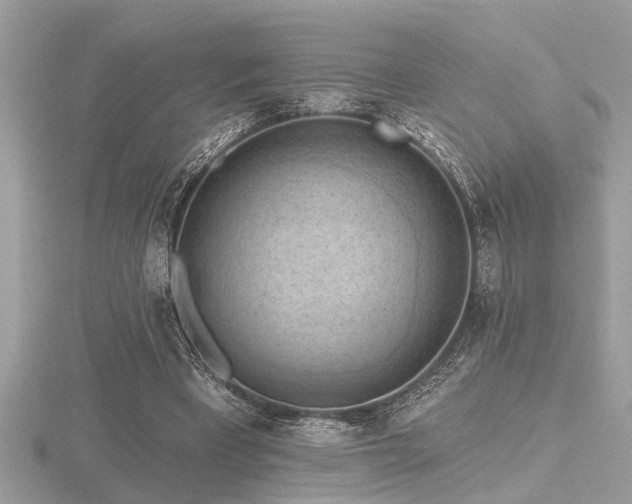 X0000116510393200912091453