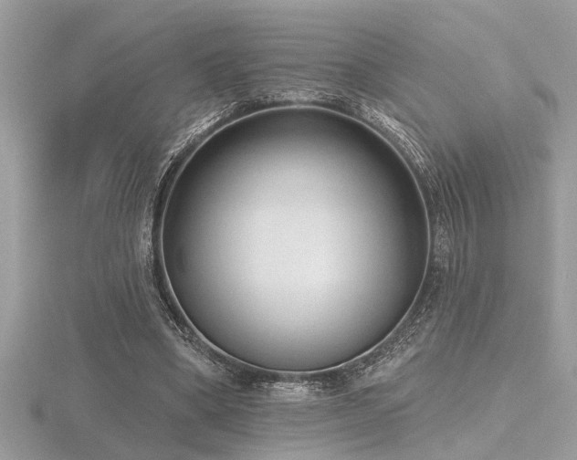 X0000116510394200912091453