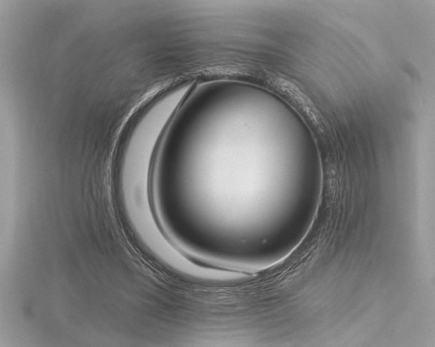 X0000116510395200912091453