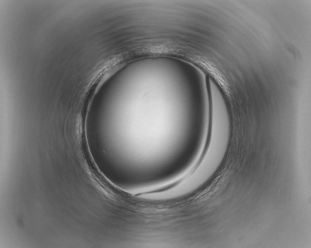 X0000116510397200912091453