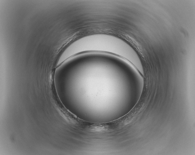 X0000116510405200912091453