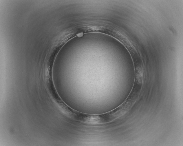 X0000116510410200912091453