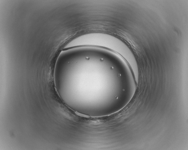 X0000116510411200912091453