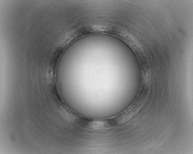 X0000116510418200912091453