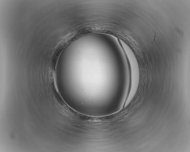 X0000116510419200912091453