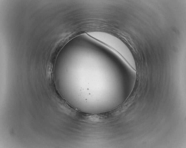 X0000116510423200912091453