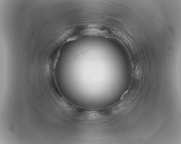 X0000116510424200912091453
