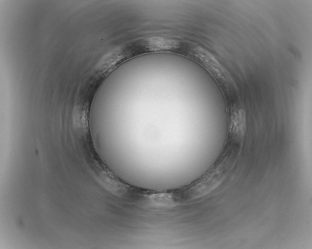 X0000116510426200912091453