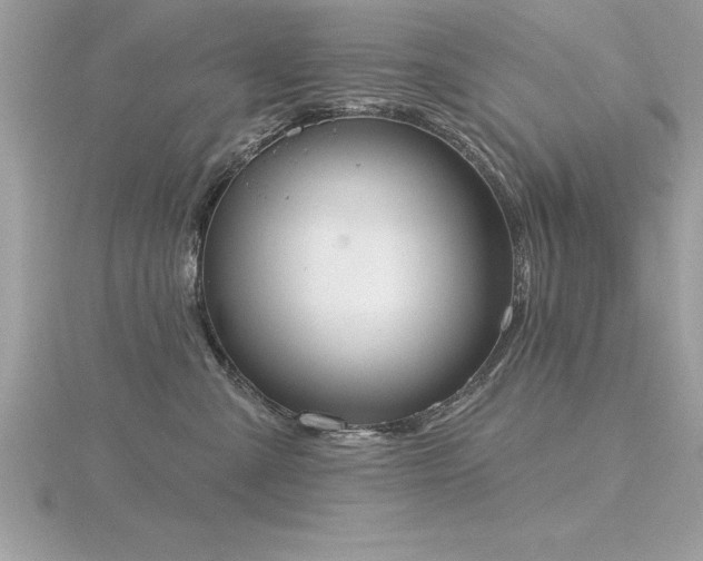 X0000116510427200912091453