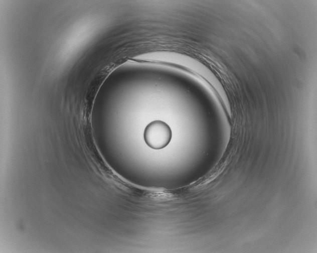 X0000116510429200912091453