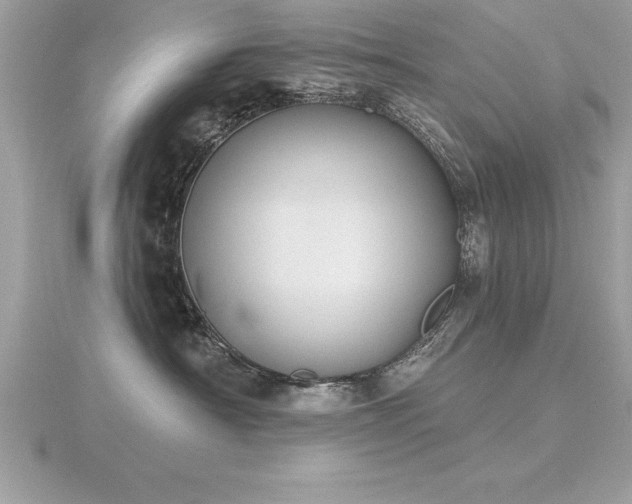 X0000116510430200912091453