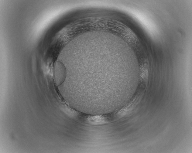 X0000116510431200912091453