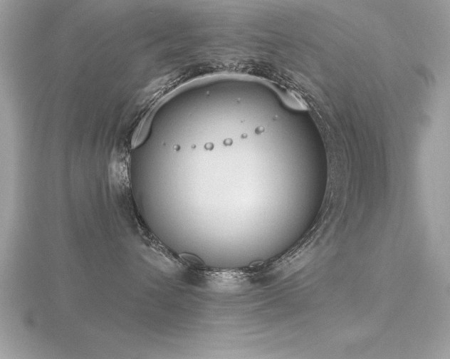 X0000116510432200912091453
