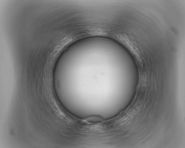 X0000116510433200912091452