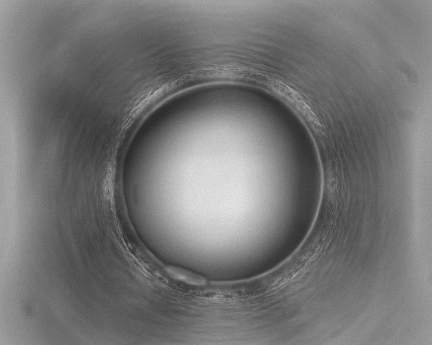 X0000116510434200912091452