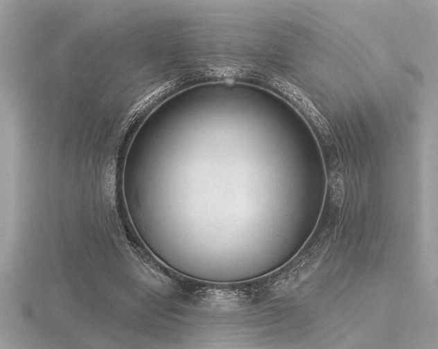 X0000116510442200912091452