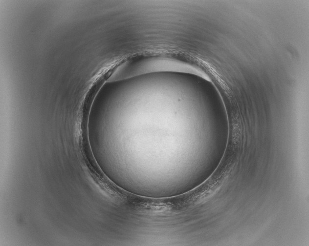 X0000116510443200912091452