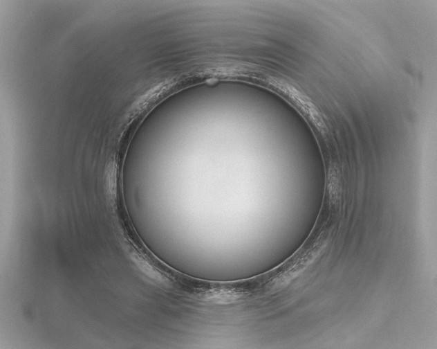 X0000116510445200912091452