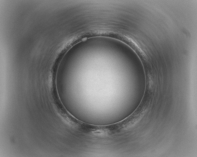 X0000116510447200912091452