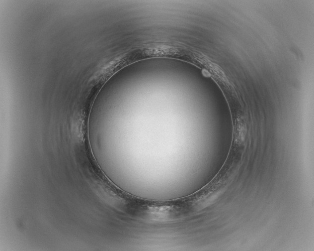 X0000116510450200912091452