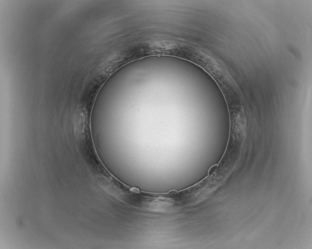 X0000116510463200912091452
