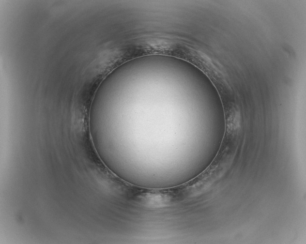 X0000116510464200912091452