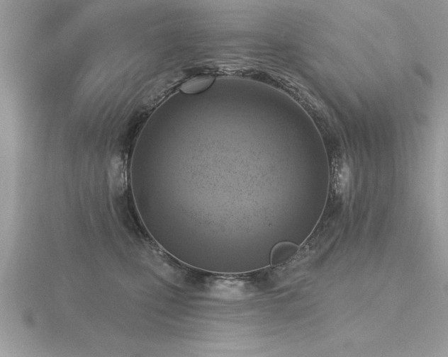 X0000116510471200912091452