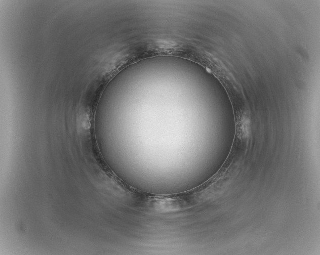 X0000116510472200912091452