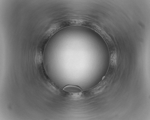 X0000116510474200912091452