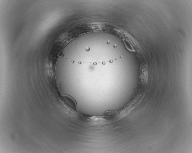 X0000116510477200912091452