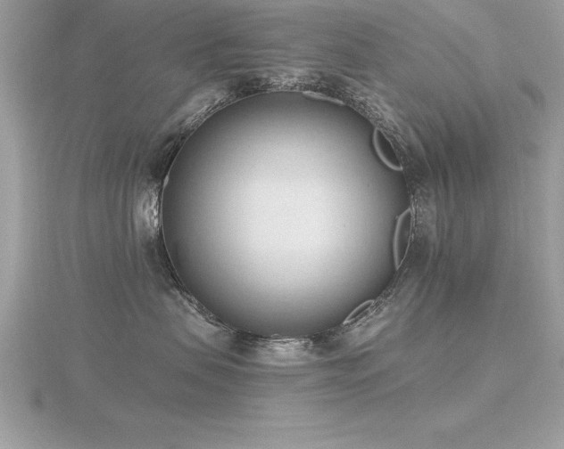 X0000116510479200912091452