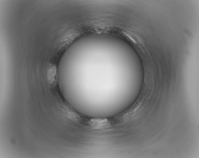 X0000116510480200912091453