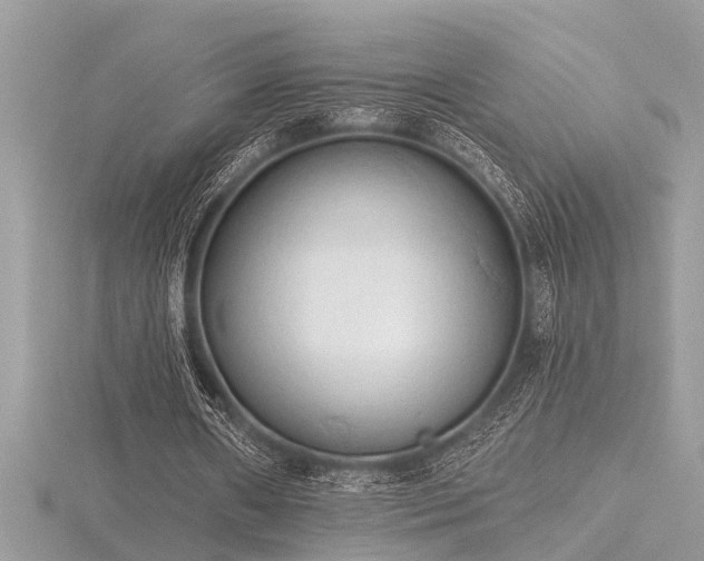X0000116510482200912091452
