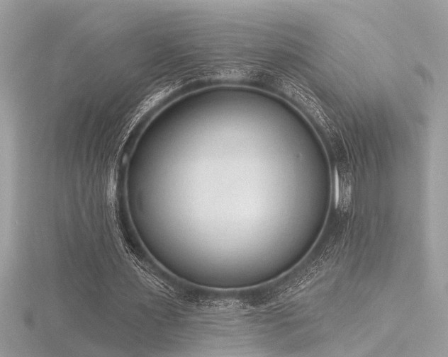 X0000116510483200912091452