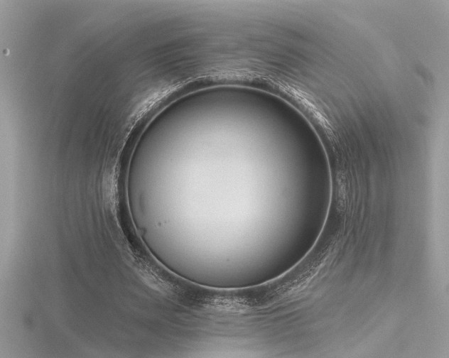 X0000116510487200912091452
