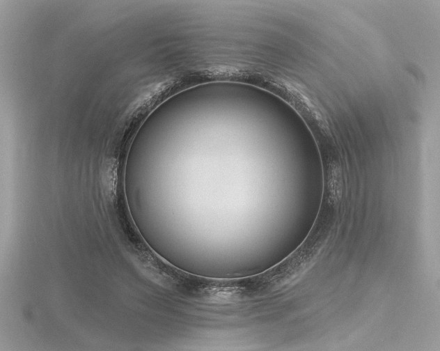 X0000116510495200912091452